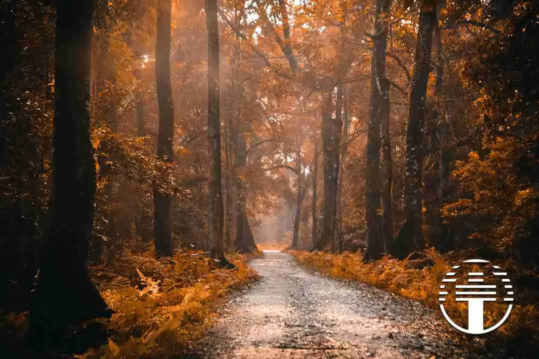 Encontrando el camino hacia Dios