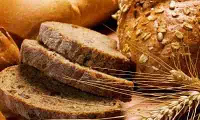 Predicas Cristianas... El pan del cielo es pan de vida