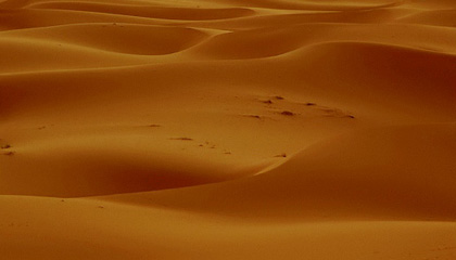 Predicas Cristianas... Un llanto en el desierto