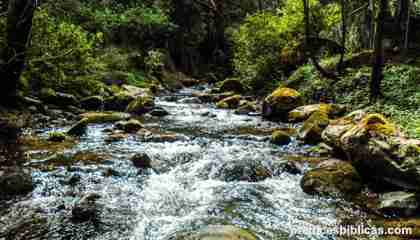 El río de Dios