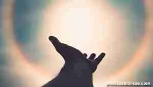 Los dones espirituales