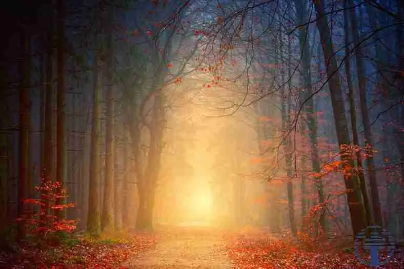 El Camino hacia el Crecimiento Espiritual