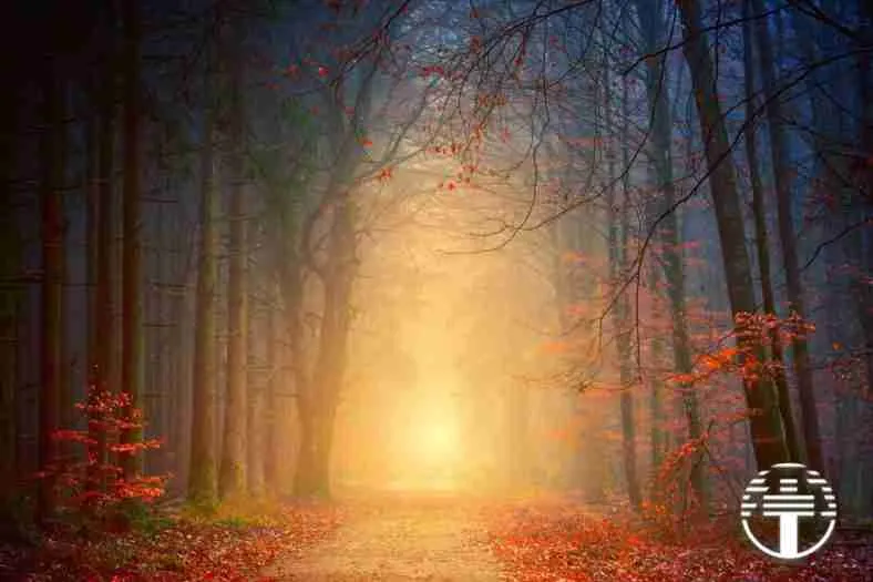 Reevaluando tu Camino Espiritual