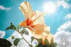 Crecimiento Espiritual