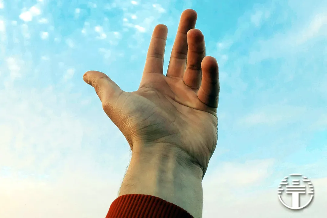 La Gratitud
