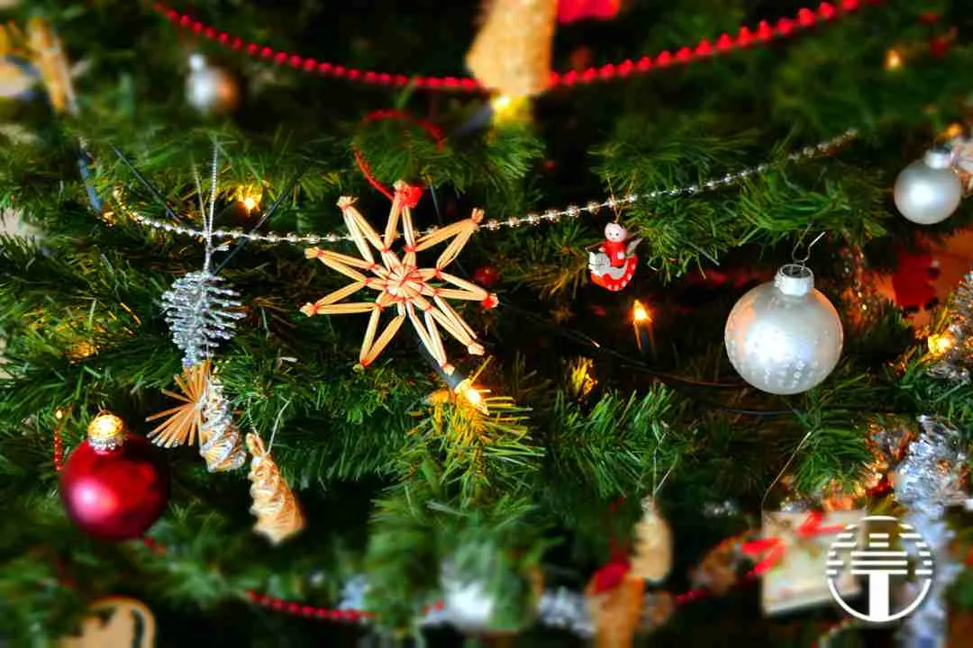Mensaje de Navidad