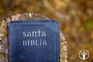 El Calvinismo y la Biblia