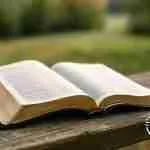 La Biblia: El Poder de un Libro